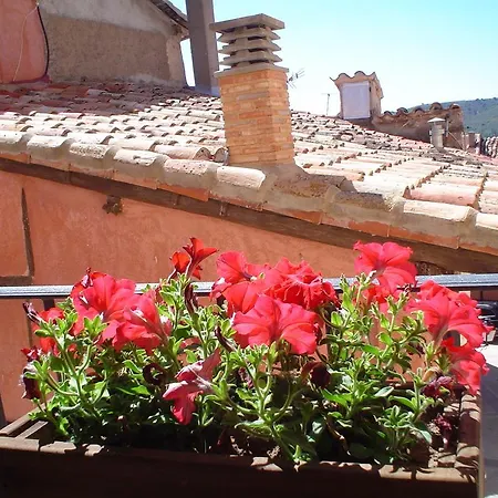 Turisticos Pepe カントリーハウス *